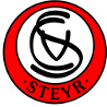 SV威尔登