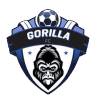 鲁西罗FC